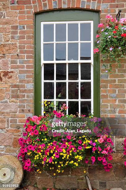 georgian architecture,jersey. - flower basket stock pictures, royalty-free photos & images