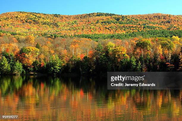fall foliage reflection off the connecticut river - connecticut stockfoto's en -beelden