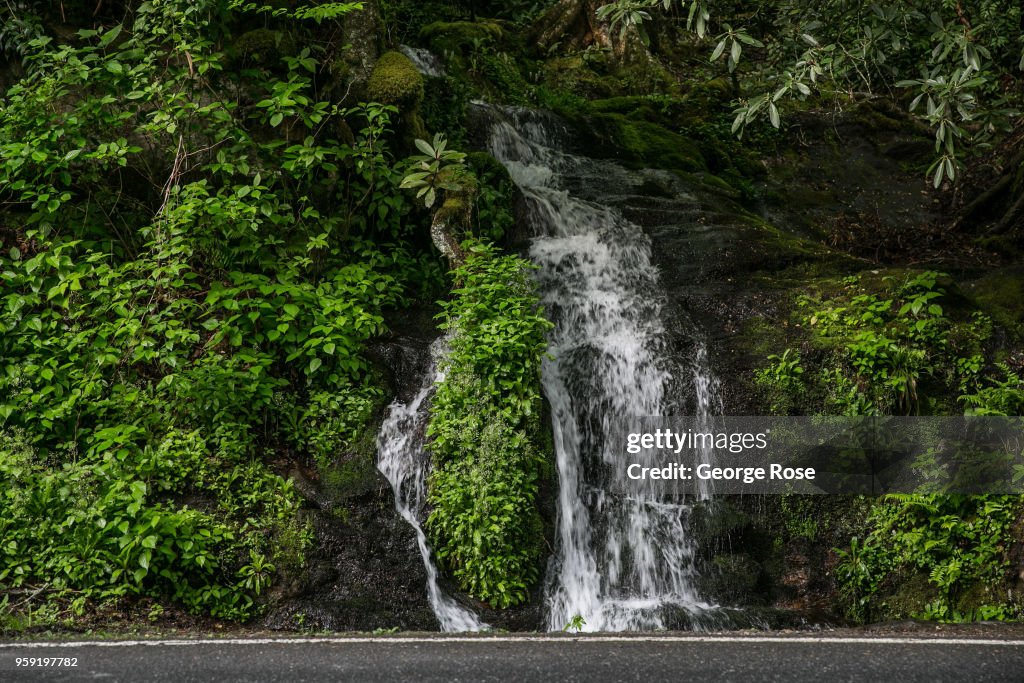 Exploring Great Smoky Mountains National Park