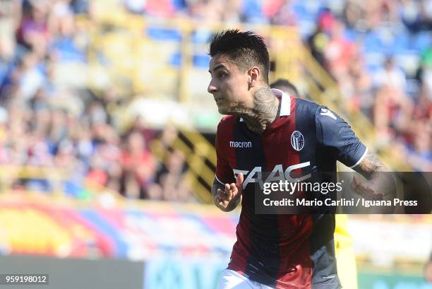 Erik Pulgar of Bologna FC reacts during the serie A match between Bologna FC and AC Chievo Verona at Stadio Renato Dall'Ara on May 13, 2018 in...