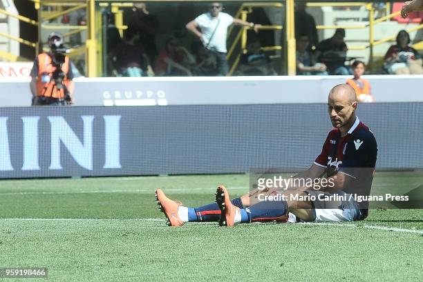 Rodrigo Palacio of Bologna FC reacts during the serie A match between Bologna FC and AC Chievo Verona at Stadio Renato Dall'Ara on May 13, 2018 in...