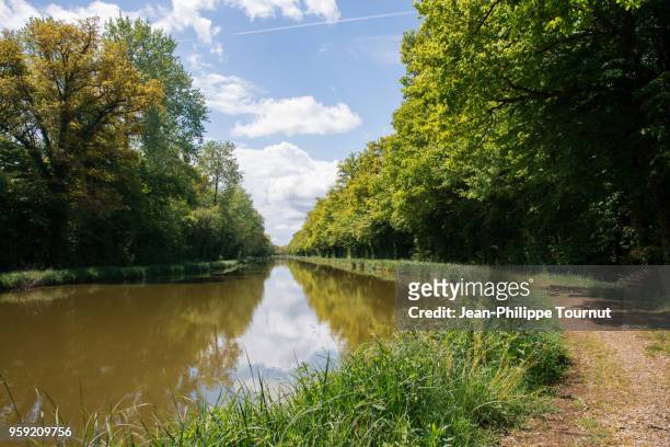 symmetry on the canal near orleans, france - orleans stockfoto's en -beelden
