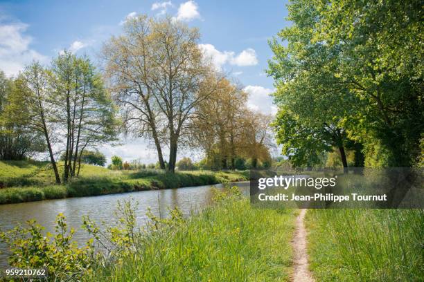 stroll along the canal near orleans, france - orleans stock pictures, royalty-free photos & images