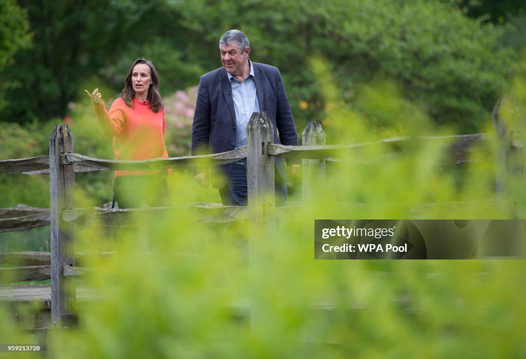 Ms. Meghan Markle Windsor Wedding Flowers