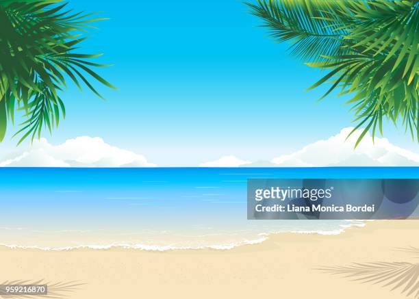 paradise beach - insel stock-grafiken, -clipart, -cartoons und -symbole