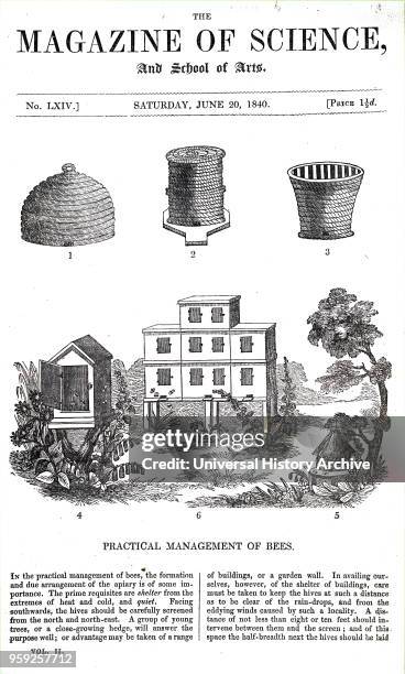 Illustration depicting various beehives. 1: Bell-shaped traditional straw skep. 2: Wildman's storied straw beehives . 3: Grecian or Candiote hive of...