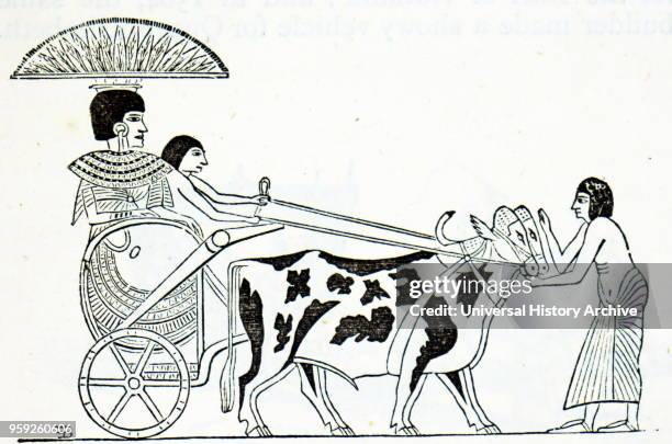 Illustration depicting a plaustrum - an ancient Egyptian open chariot drawn by oxen. Dated 19th century.