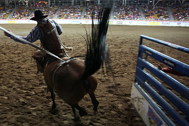 Abcra Ingham Rodeo 98 Abcra National Rodeo Finals Stock Photos, High-Res Pictures, and ...