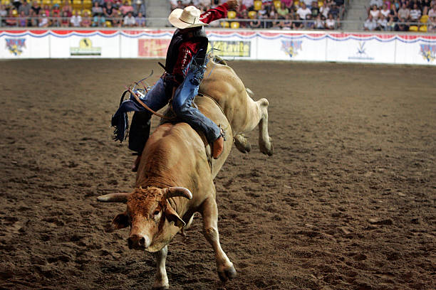 Bull Riding Rodeo Australia 98 Abcra National Rodeo Finals Stock Photos, High-Res Pictures, and ...