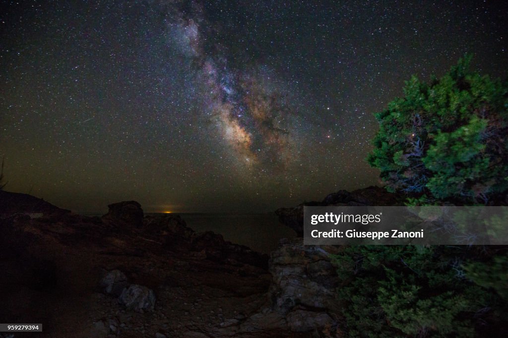 The milky way with the shape of plant