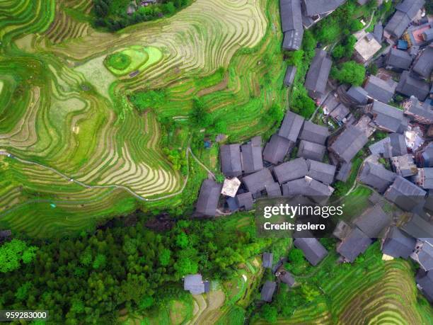 drone  view on longsheng rice terrace fields - yao tribe stock pictures, royalty-free photos & images