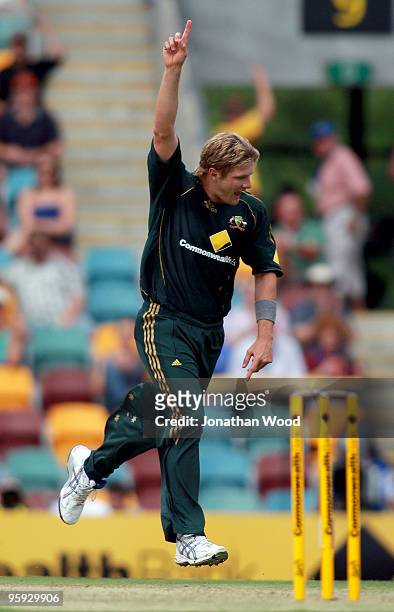 Shane Watson of Australia celebrates taking a wicket during the first One Day International match between Australia and Pakistan at The Gabba on...