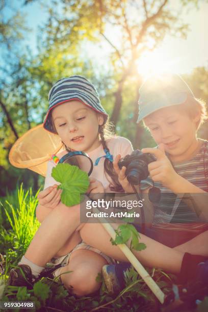 kleine entdecker, die die natur entdecken - boy taking picture in forest stock-fotos und bilder