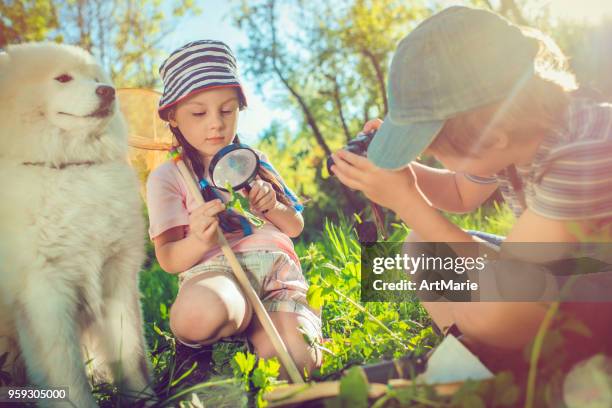 little explorers with dog discovering nature - boy taking picture in forest stock pictures, royalty-free photos & images