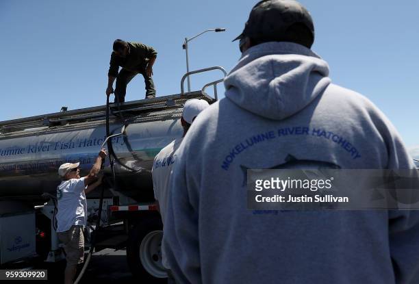 Workers prepare to release thousands of young fingerling Chinook salmon into a holding pen at Pillar Point Harbor on May 16, 2018 in Half Moon Bay,...