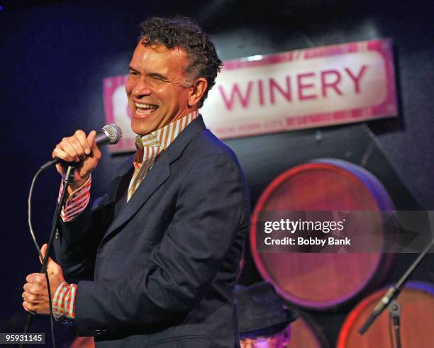 Brian Stokes Mitchell performs at the Support Haiti benefit at the City Winery on January 21, 2010 in New York City.