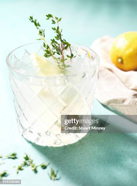 gin and tonic with lemon and thyme - gin tonic stock-fotos und bilder