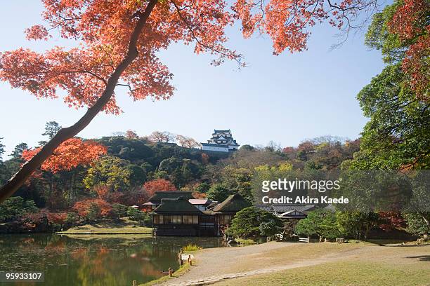 genkyuen garden, hikone castle, japan - siga prefecture ストックフォトと画像