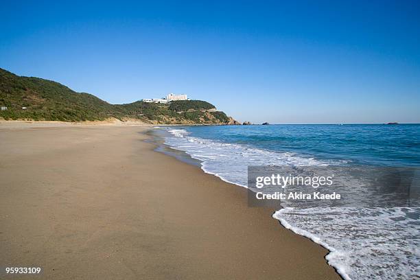 koijigahama beach, the pacific ocean, japan - atsumi stockfoto's en -beelden