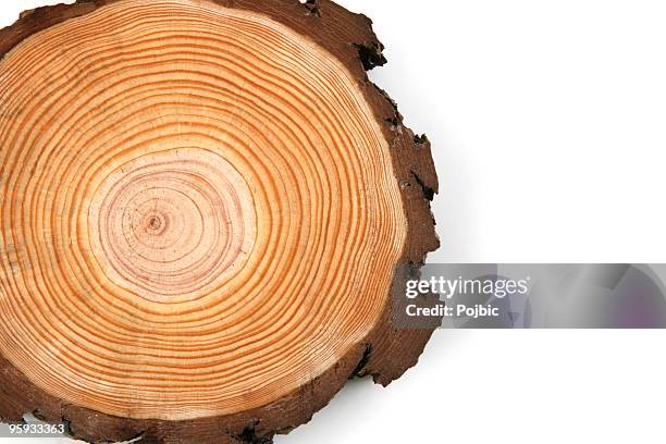 wood crossection - red pine stockfoto's en -beelden