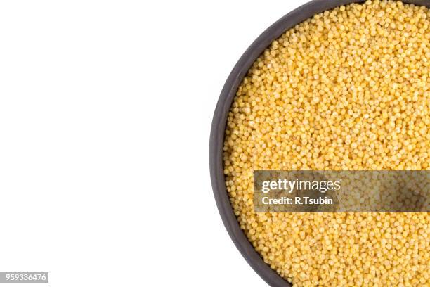 dry millet isolated on white. top view or flat lay. healthy food and diet concept - durra bildbanksfoton och bilder
