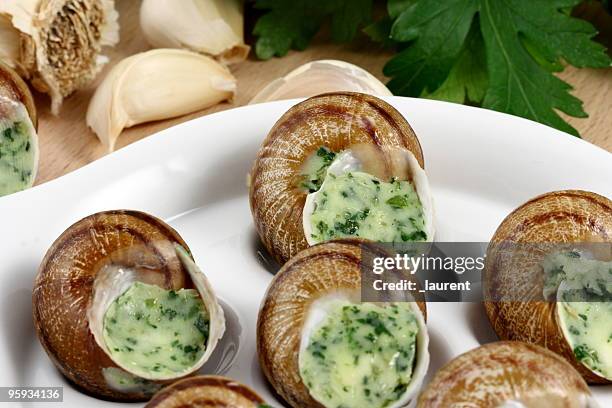 snails with parsley and garlic butter - slätpersilja bildbanksfoton och bilder