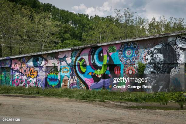 Wall mural in the River Arts District is viewed on May 11, 2018 in Asheville, North Carolina. Located in the Blue Ridge mountains of Appalachia,...