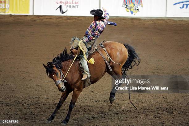 Bareback Bronc rider Damon Metcalf competes during the ABCRA National Rodeo Finals on January 22, 2010 in Tamworth, Australia. The National Rodeo is...