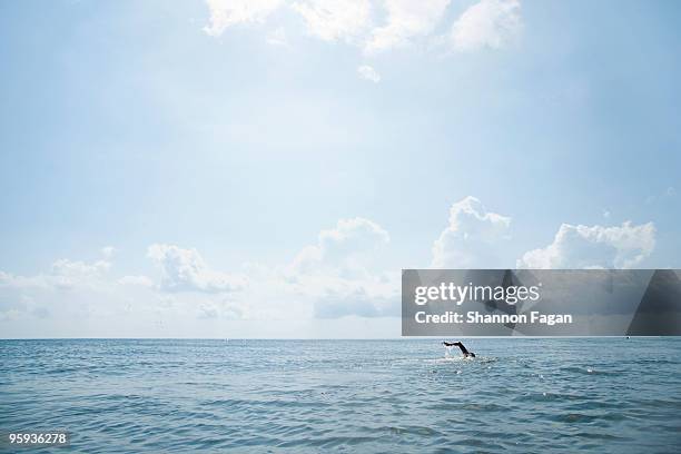 man swimming in the atlantic ocean. - mid atlantische verenigde staten stockfoto's en -beelden