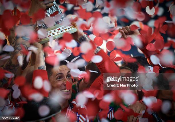 Fernando Torres of Atletico de Madrid celebrates with the trophy during the match of the UEFA Europa League final between Atletico de Madrid against...