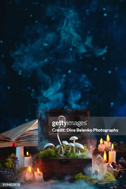 magical mushrooms and moss growing in a wooden box. witch or wizard workplace with mysterious smoke, books and burning candles on a dark background with copy space - giftpilz stock-fotos und bilder