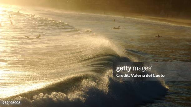 the drawing of the waves at the sunset of ipanema - valeria del cueto stock pictures, royalty-free photos & images