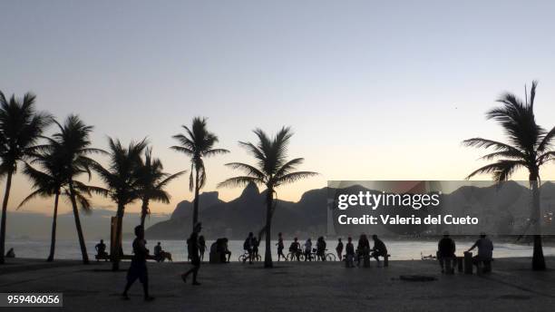 fall in the afternoon the tropical look of ipanema - valeria del cueto stock pictures, royalty-free photos & images