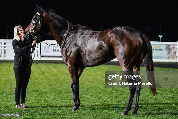 Pirellina after winning the Bunyip Football Netball Club F&M BM64 Handicap at Racing.com Park Synthetic Racecourse on May 17, 2018 in Pakenham,...