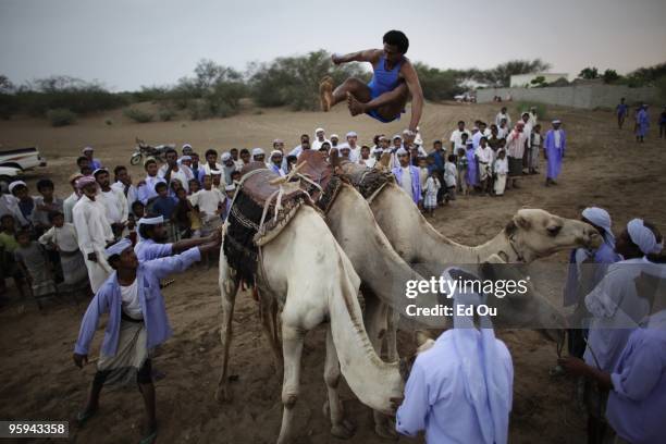 Bhaydar Muhammed Kubaisi from the Zaranique tribe high jumps over three camels October 7, 2009 in Beit al Faqih, Yemen. Camel jumping is a sport...