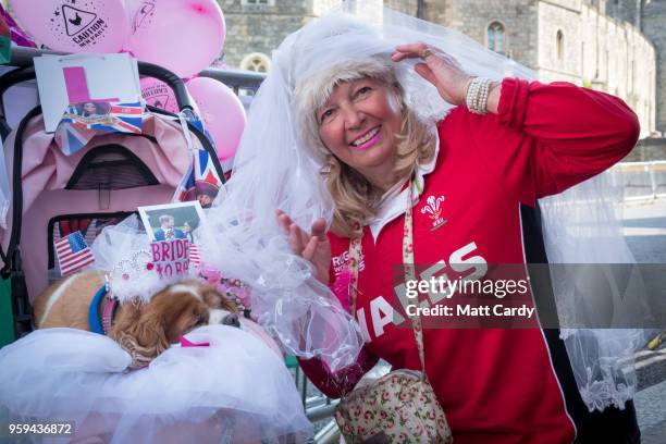 Royal fan Anne Daley with her dog Camilla camps on the street close to Windsor Castle ahead of the royal wedding of Prince Harry to Ms. Meghan Markle...