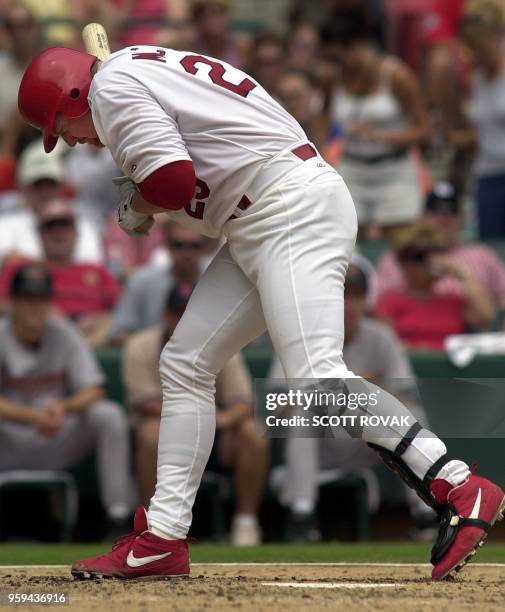 St. Louis Cardinals' Mark McGwire gets hit by a pitch in the fifth inning by Houston Astros' relief pitcher Tim Redding 25 July 2001 in St. Louis....