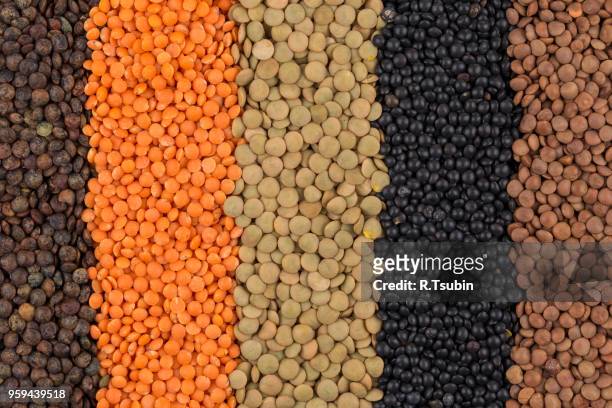 various legumes - red, black, yellow, green, brown lentils - same but different stock-fotos und bilder