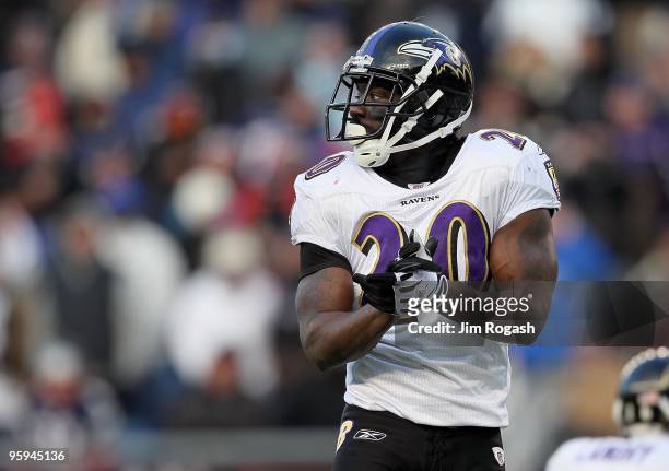 Ed Reed of the Baltimore Ravens looks on against the New England Patriots during the 2010 AFC wild-card playoff game at Gillette Stadium on January...