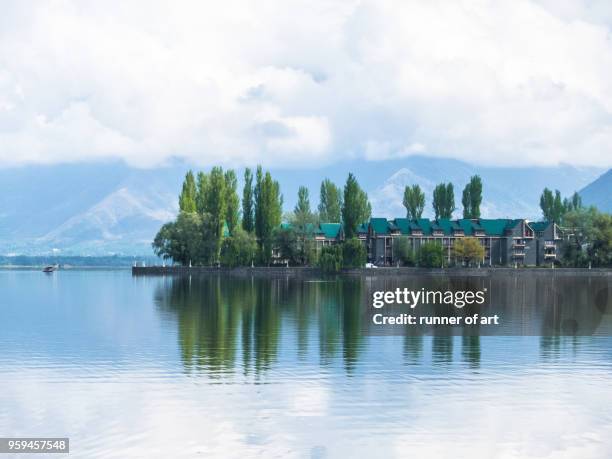 symmetry of nature at dal lake - lago dal fotografías e imágenes de stock