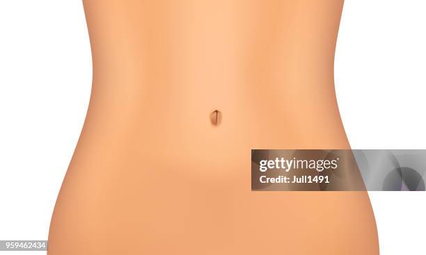 realistic female belly. - perfect female body shape stock illustrations