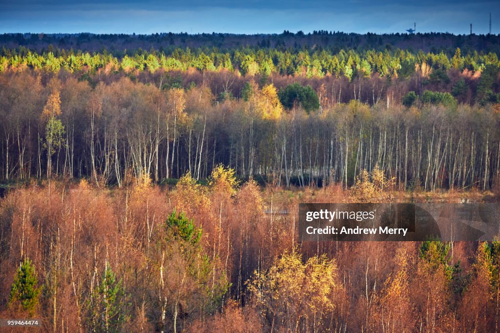 Autumn in Oulu, Finland