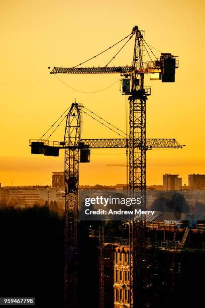 two cranes at sunset with yellow sky, oulu, finland - oulu finland stock pictures, royalty-free photos & images