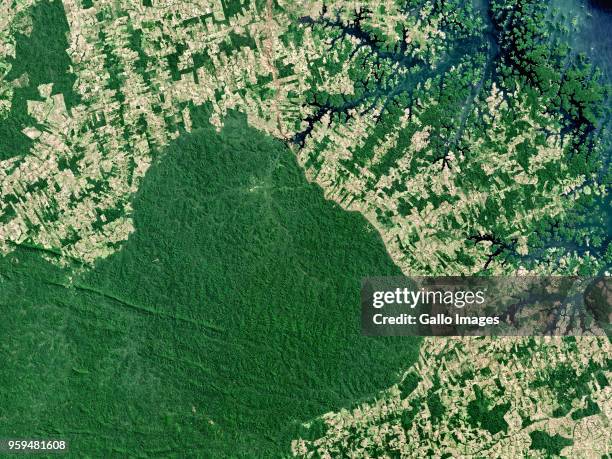 Deforestation in the northern area of the Parakana Indigenous Reserve located in the Brazilian State of Para, Northern Brazil.