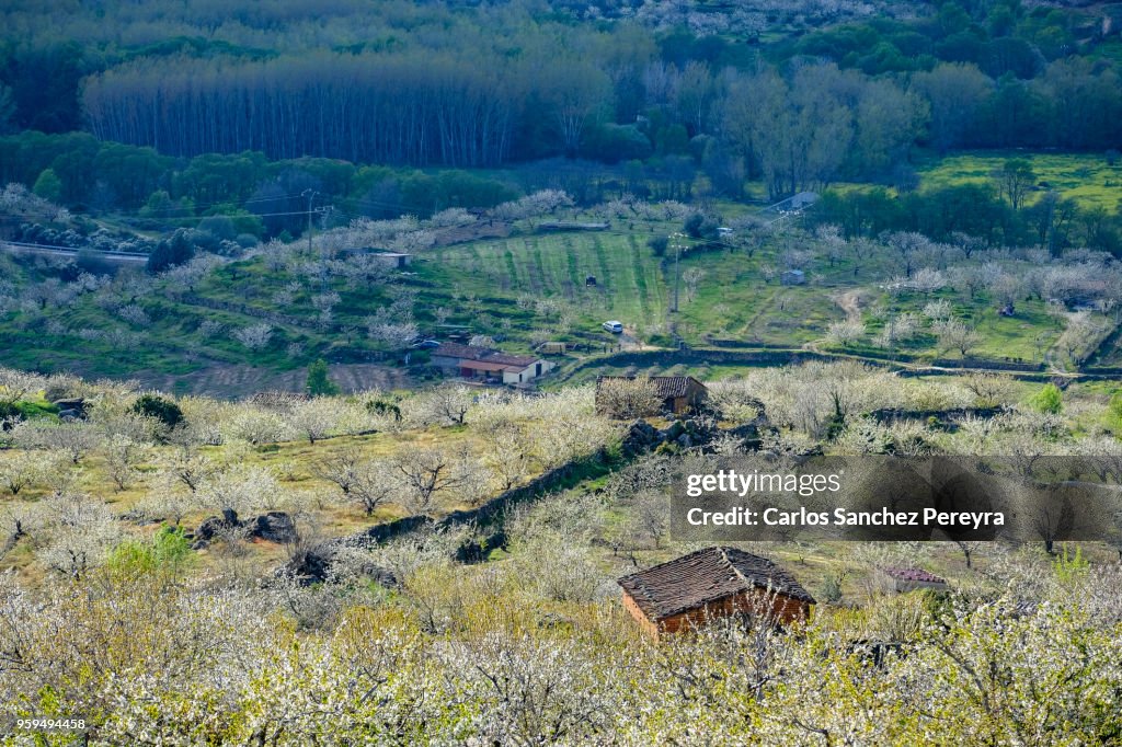 Rustic house in Jerte Valley