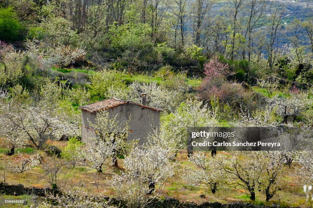 Rustic house in Jerte Valley