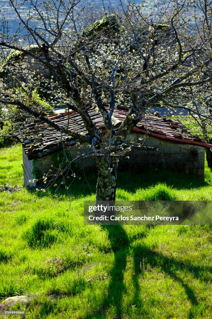 Rustic house in Jerte Valley
