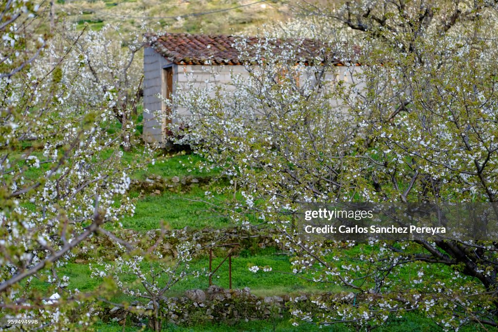 Rustic house in Jerte Valley