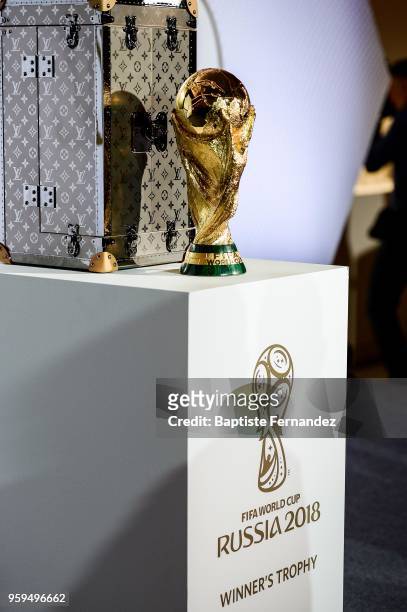 louis vuitton world cup trophy case