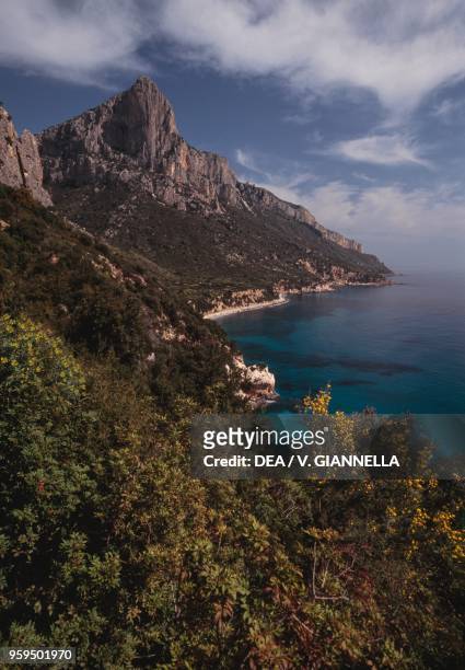 View of a stretch of coast from Pedra Longa, with Punta Giradili in the background, National Park of the Bay of Orosei and Gennargentu, Ogliastra,...